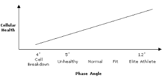 Biodynamics Phase Angle