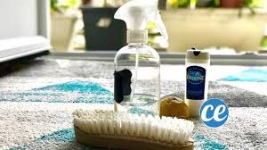 Au fil du temps, la moquette devient sale et nécessite un nettoyage et une désinfection. La Recette De Grand Mere Pour Nettoyer La Moquette En Profondeur