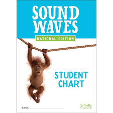 Sound Waves Student Chart A3 Desk Size