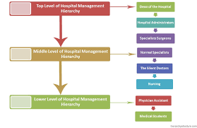 Hospital Management Hierarchy Chart Hierarchystructure Com