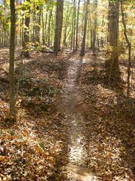 Ravine Ravings Mountain Biking Chicopee Woods