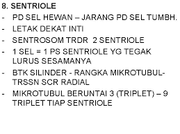 We did not find results for: Struktur Dan Fungsi Sel Sel Prokaryotik Tdk Punya