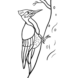 « back ♥ print this woodpecker color page animal coloring pages gallery ». Printable Woodpecker Coloring Page Free Pdf Download At Http Coloringcafe Com Coloring Pages Woodpecker Coloring Pages