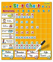 Large Magnetic Star Reward Chart For Up To 4 Children Good