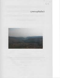 Image result for Grewia rugosifolia