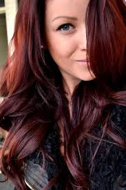 Dark Brown Red Hair Color Hair Color Ideas 2014 Dark Auburn Hair Color Hair Color Burgundy Burgundy Hair