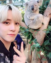 Pin By Kayla S On Ateez Koala Boy Groups Animals
