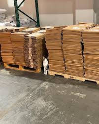 William Patrick Corgan