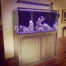 …almost any aquarium over 250 gallons or over 72 long! Reefurbish 120 Gallon Reef Tank My First Fish Tank