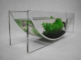 Betta Bowl Tank By Zero Edge With Images Modern Fish Tank Fish Tank Custom Aquarium