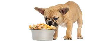 E' importante differenziare l'alimentazione del cane a seconda della sua età e del suo stato di salute. Il Miglior Cibo Per Cani Cuccioli Classifica E Consigli Utili Per L Acquisto