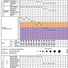 Above The New Neurological Observation Chart That Was