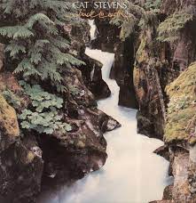 Cat Stevens Back To Earth Cat Stevens Rock Album Covers Music Artwork