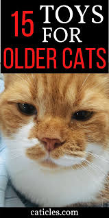 16 Gifts For Older Cats That Make Them Feel Young Again Caticles In 2020 Older Cats Senior Cat Care Best Interactive Cat Toys