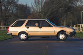 Image result for Brun Cannelle 1982 Renault
