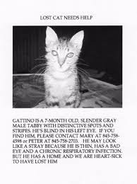 We did not find results for: Lost Cat Mary Gaitskill Granta