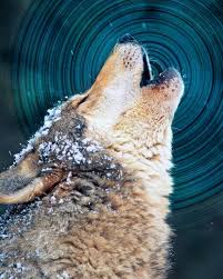 But i do not understand how a solid that is inflexible can make sound waves travel faster then in a flexible liquid. Here S Why Sound Carries Farther On Cold Days Latest Science News And Articles Discovery