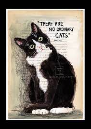 Quote Print Cat Illustration Art Print Cat Art Home Decor Reproduction There Are No Ordinary Cats Eva Fialka In 2021 Cat Art Crazy Cats Cats