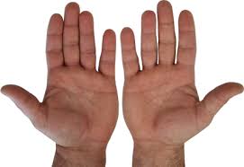 Image result for hands