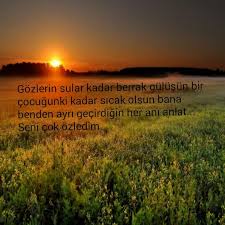 aleyna asil adli kullanicinin guzel sozler panosundaki pin guzel soz