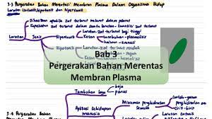 Report latihan biologi tingkatan 4 (bab 3). Biologi Spm T4 Bab 3 Pergerakan Bahan Merentasi Membran Plasma Youtube