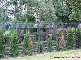 Nach Oben Offene Gehege Sichern In 2020 Katzengarten Katzen Katzengehege