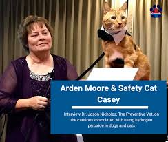 The Right Time To Give Hydrogen Peroxide To Your Pet Pro Pet Hero