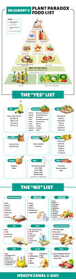 The Plant Paradox Diet Dr Gundry S Food List 2022 Updated