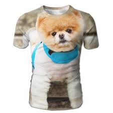 Amazon Com Dimannu Mens T Shirt Pomeranian Dog Clothes