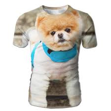 Amazon Com Dimannu Mens T Shirt Pomeranian Dog Clothes