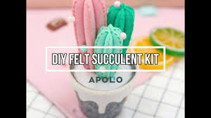 April 3, 2018 by cindy312. This Diy Felt Succulent Kit Is The Ultimate Houseplant Apollo Box Blog