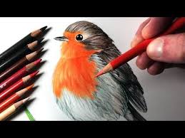 Find Helpful Art And Crafting Tutorial On Hildurko Com Everything To Learning How To Draw Diy Decor How To Paint Bird Drawings Summer Drawings Robin Drawing