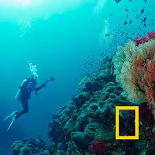 National geographic stories take you on a journey that's always enlightening, often surprising, and unfailingly fascinating. National Geographic Chermayeff Geismar Haviv