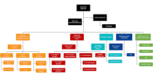 Acog Organizational Chart Acog