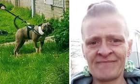 The P&J Run Fest stats: Demographics and total distance covered