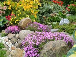 Cependant, on est loin de parler d'un mélange de pierres et de fleurs disposées. La Rocaille Une Evocation Sauvage