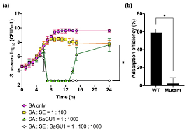 Viruses Free Full Text Staphylococcal Phage In Combination With Staphylococcus Epidermidis As A Potential Treatment For Staphylococcus Aureus Associated Atopic Dermatitis And Suppressor Of Phage Resistant Mutants Html
