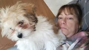 Fundraiser by Rebecca Wills : Urgent Help for Dialysis Premium