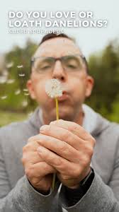 Frank Ferragine (@frankferragine) • Instagram photos and videos