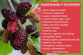 Pin On Health And Beauty