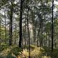 Warren County Wednesday Walks - July