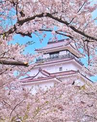 We did not find results for: Lurima Travel Cantikkan Pemandangan Musim Bunga Di Osaka Facebook