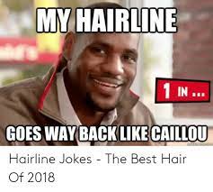 This tag belongs to the additional tags category. My Hairline In Goes Way Back Like Caillou Hairline Jokes The Best Hair Of 2018 Caillou Meme On Me Me