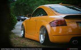 Image result for Papaya Orange 2004 TT