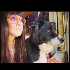 Where can I find the best duck diapers, disposable and non-disposable?