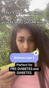 Dr Bruce Halberts Cinnamon Drink for Diabetes