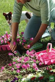 Although hanging flower baskets liven up small and drab spaces, they seem to be harder to keep alive since they are confined in small pots and hanging in the drying air all season long. Add Bright Accents To Your Garden Beds With A 6 Pack Of Wave Petunias Available In Pink Purple White And Eve Annual Garden Beds Annual Garden Garden Center