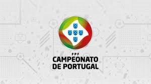 Последние твиты от portugal (@selecaoportugal). Fpf Anuncia Criacao De Iii Liga Em 2021 22 Visao De Mercado