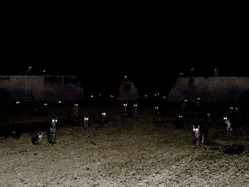 Seeing in the Dark