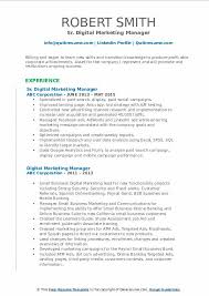 Individuals searching for <u> internet marketing manager: Digital Marketing Manager Resume Samples Qwikresume